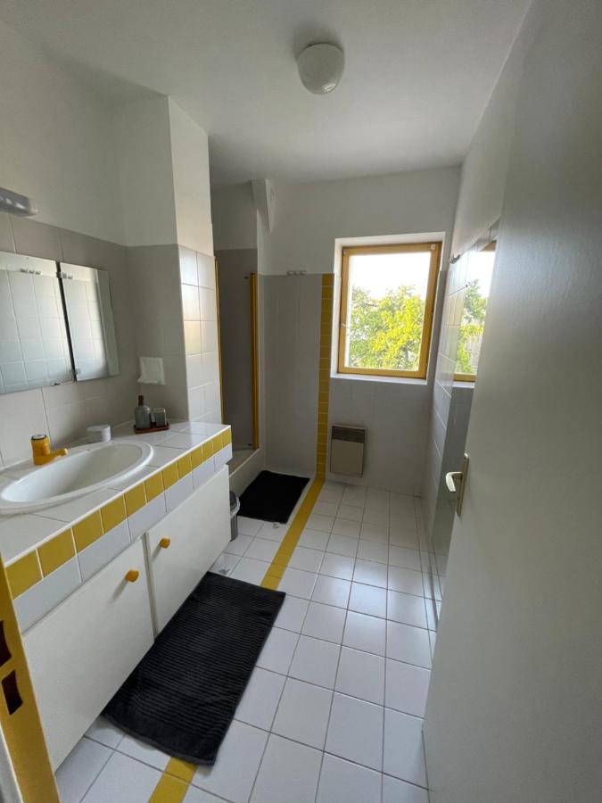 Grand Appartement Hypercentre Avec Terrasse Et Parking Poitiers Exterior photo