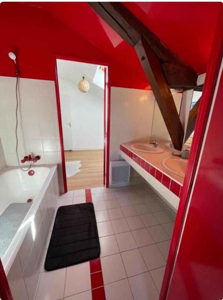Grand Appartement Hypercentre Avec Terrasse Et Parking Poitiers Exterior photo